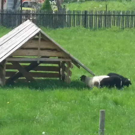 Pensjonat Pod Dębami - Sala Zabaw - Małpi Gaj - Blisko Centrum 3*