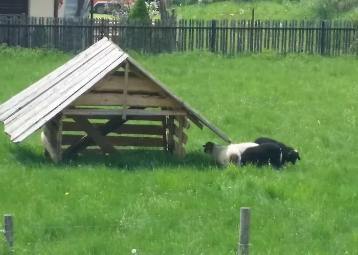 Affittacamere Pod Debami - Sala Zabaw - Malpi Gaj - Blisko Centrum 3*