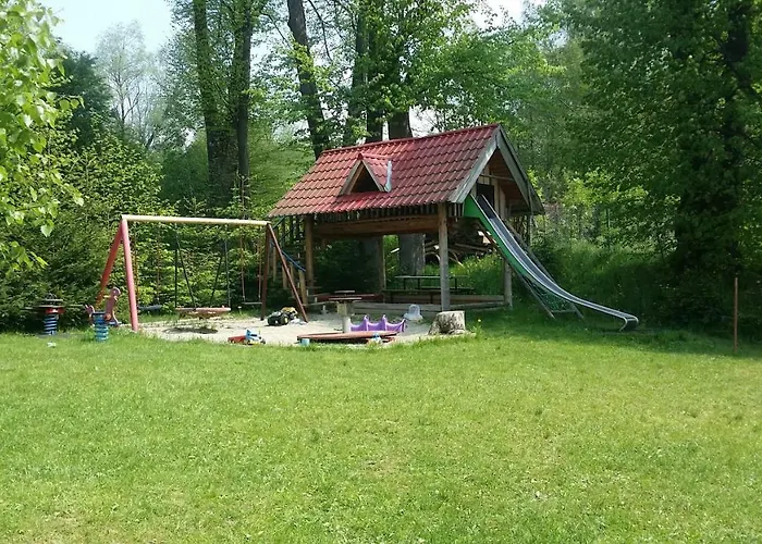 Pod Debami - Sala Zabaw - Malpi Gaj - Blisko Centrum